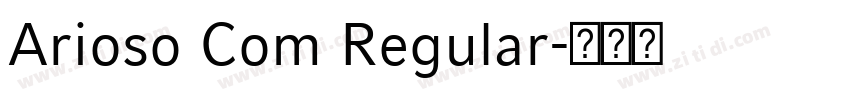 Arioso Com Regular字体转换